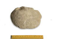 F 00016
<br/>
<br/>
<em></em>